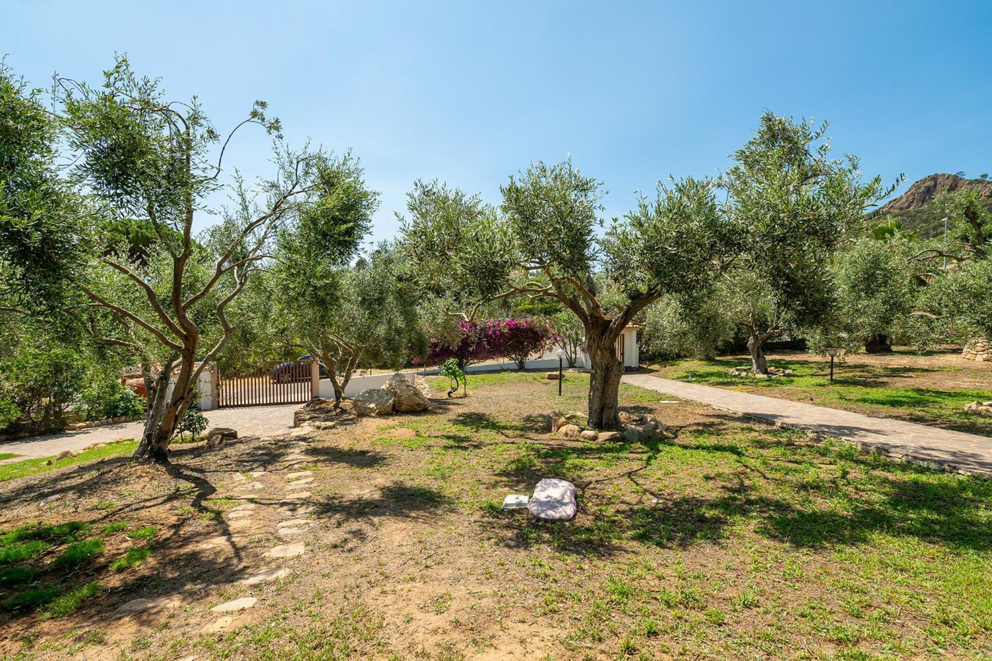 Casa Pilato Hotel Poggio dei Pini Luaran gambar
